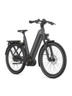 Gazelle Eclipse