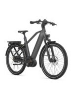Gazelle Eclipse