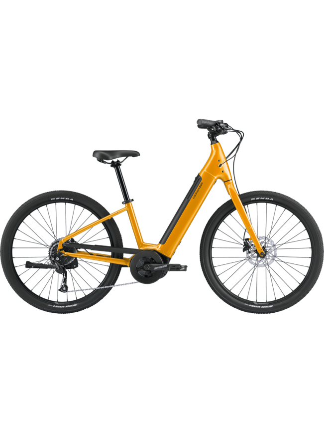 Cannondale Adventure Neo 4