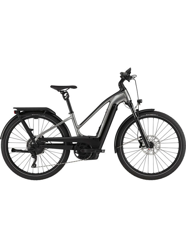 Cannondale Tesoro Neo X 1