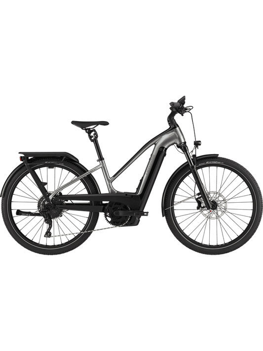 Cannondale Tesoro Neo X 1