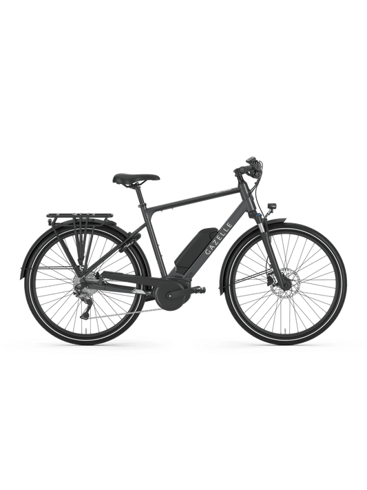 RENTAL Gazelle Medeo T9