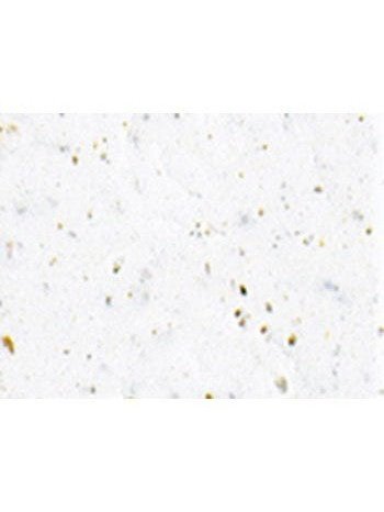 Cinelli Gel Ribbon Handlebar Tape - White