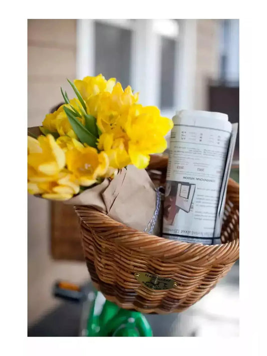 Nantucket Bike Basket Co. Cisco Oval