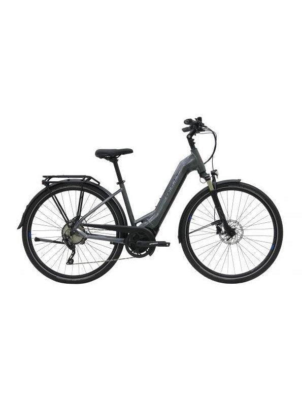 RENTAL BULLS LACUBA EVO 10