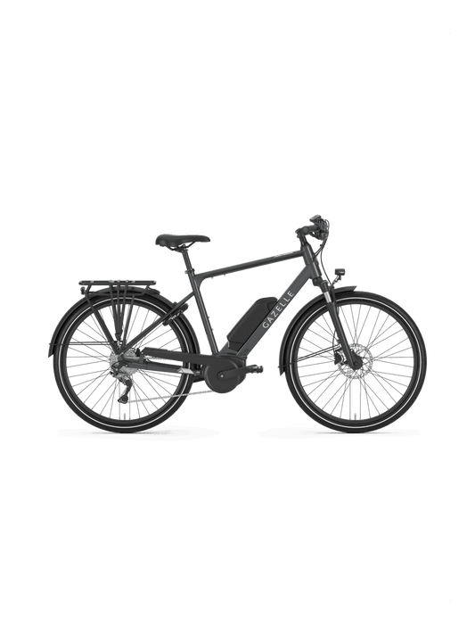 Gazelle Medeo T9 HMB